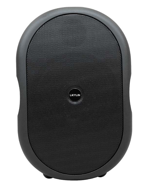 單4寸無源會(huì)議音箱